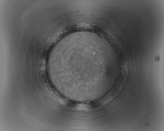 X0000115410708200911171400