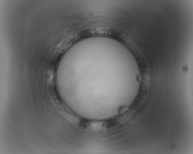 X0000115410709200911171400