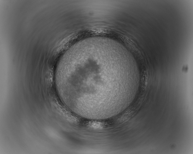 X0000115410710200911171400