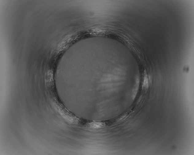 X0000115410711200911171359