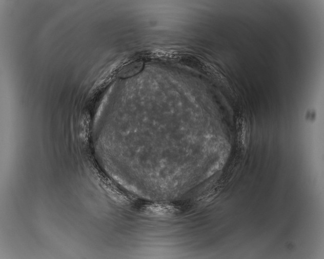 X0000115410712200911171359