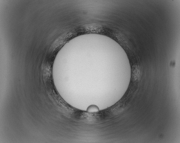 X0000115410713200911171359