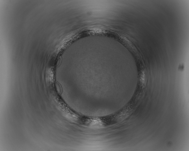 X0000115410715200911171359