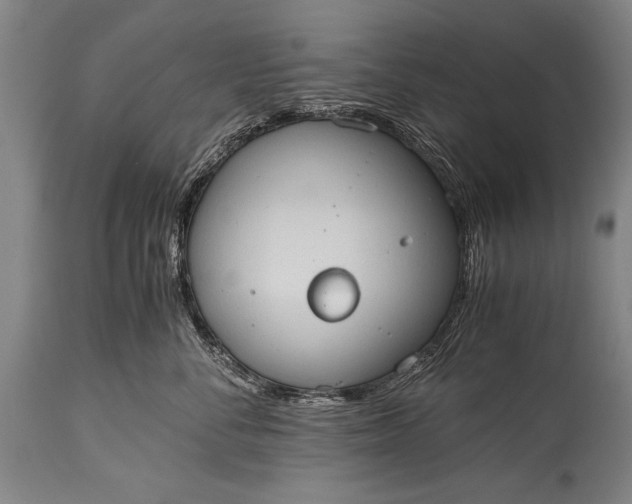 X0000115410716200911171359
