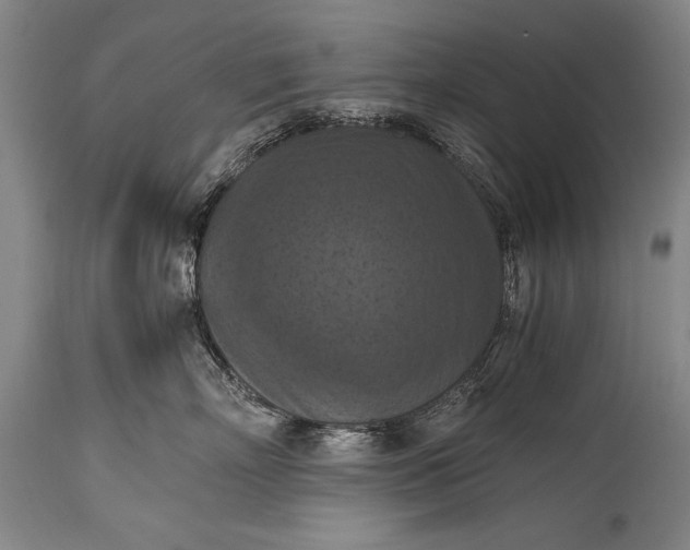 X0000115410718200911171359