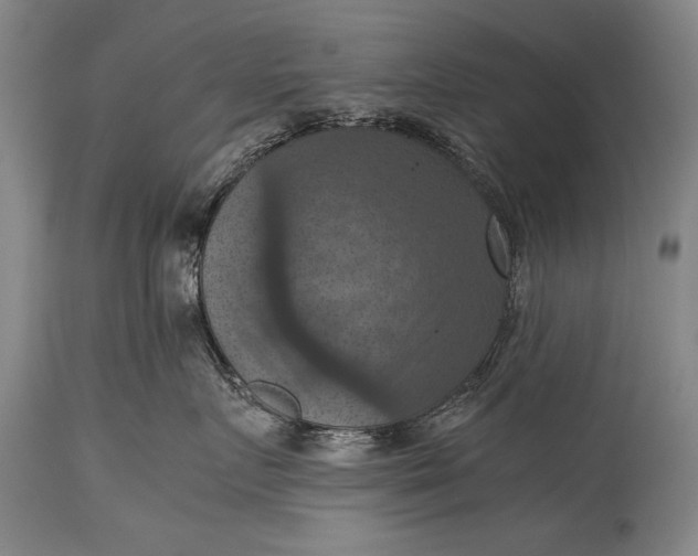 X0000115410719200911171359
