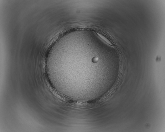 X0000115410720200911171359