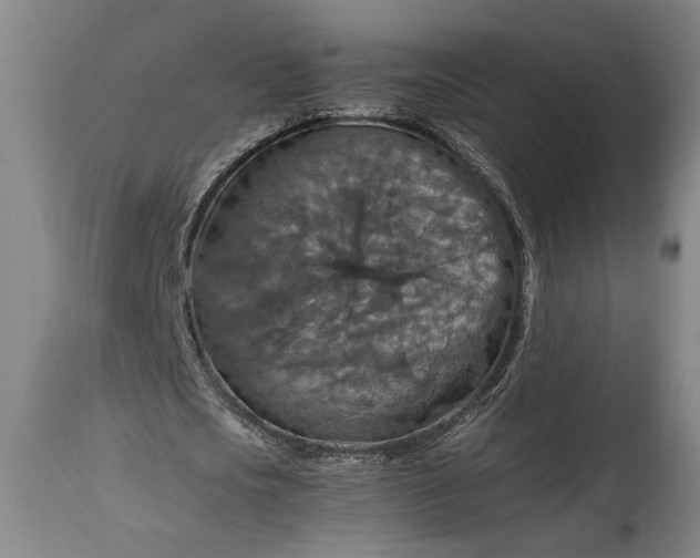 X0000115410721200911171359