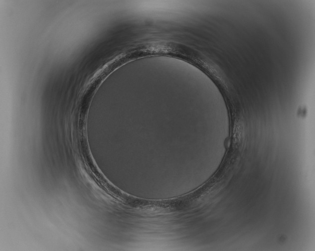 X0000115410722200911171359