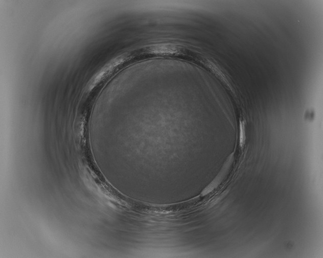 X0000115410723200911171359