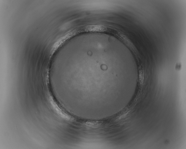 X0000115410725200911171359