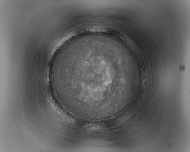 X0000115410727200911171359