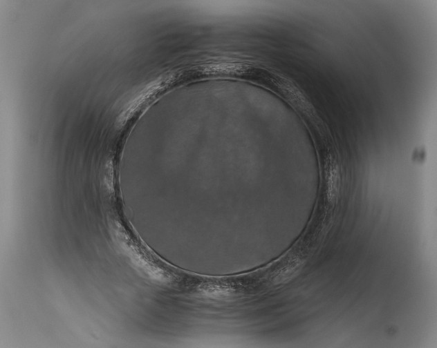 X0000115410729200911171359