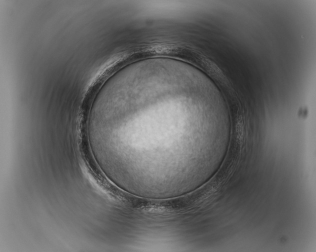 X0000115410730200911171359
