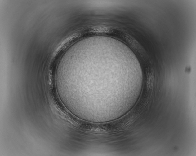 X0000115410731200911171359