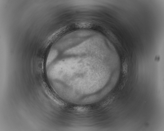 X0000115410733200911171359
