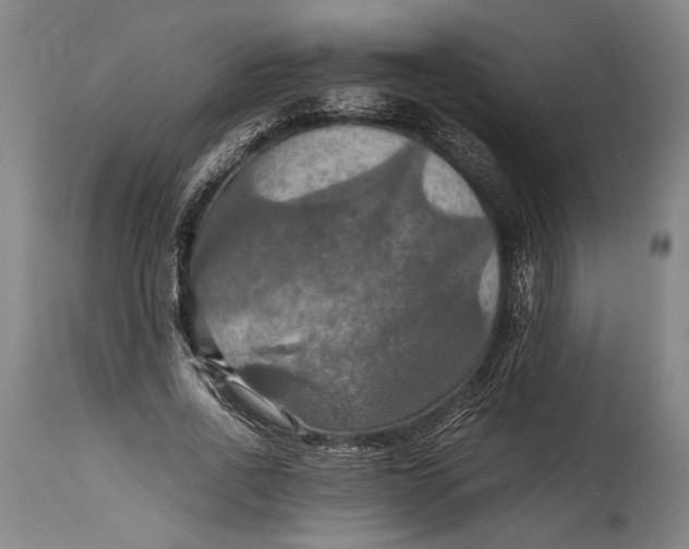 X0000115410734200911171359