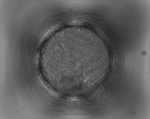 X0000115410735200911171359