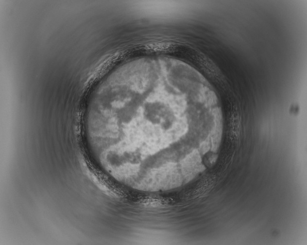 X0000115410738200911171359