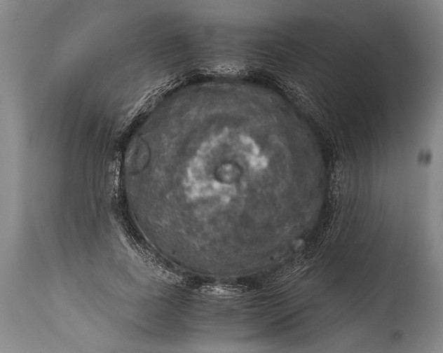 X0000115410739200911171359