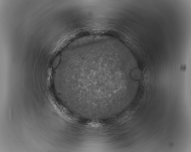 X0000115410742200911171359