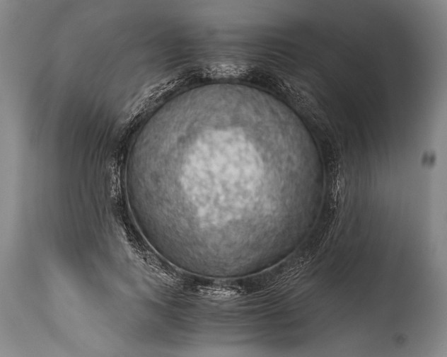 X0000115410743200911171359