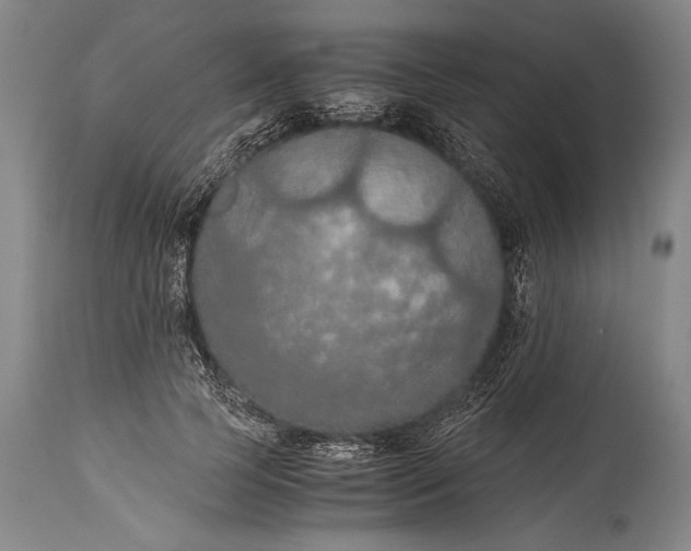 X0000115410745200911171359