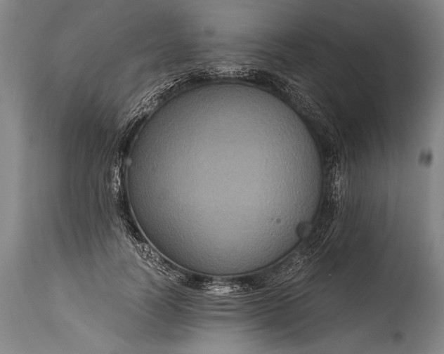X0000115410746200911171359