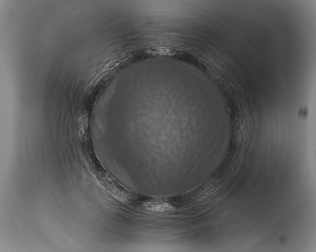 X0000115410747200911171359