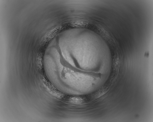 X0000115410749200911171359