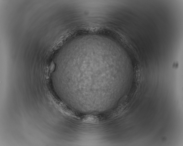 X0000115410750200911171359