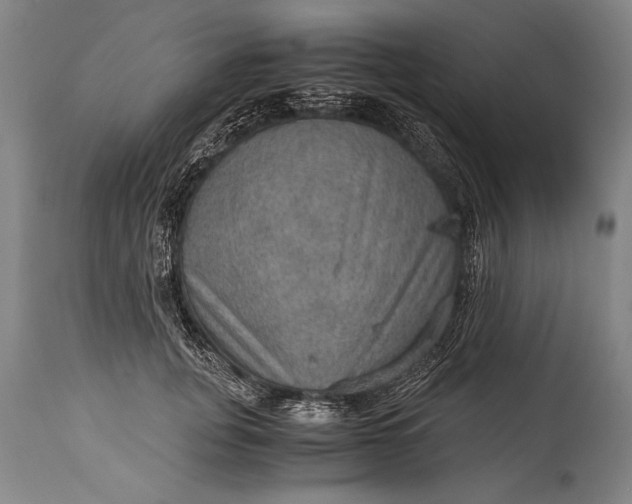 X0000115410751200911171359