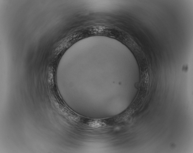 X0000115410754200911171359