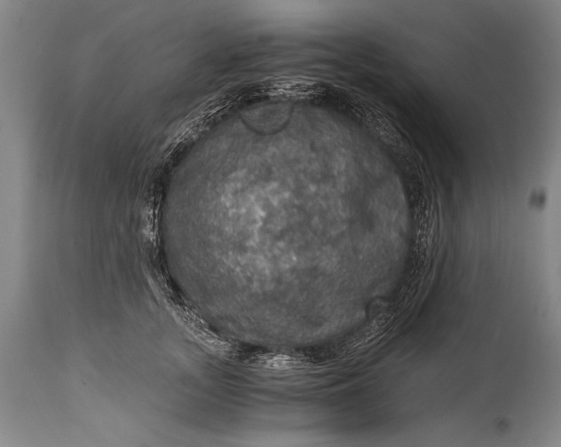 X0000115410755200911171359