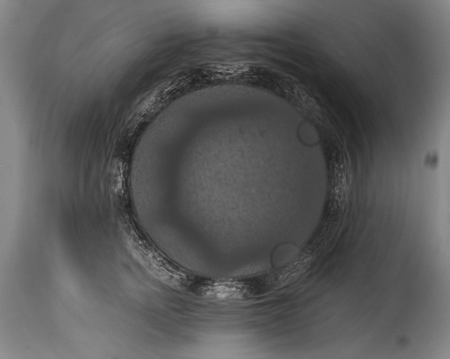 X0000115410758200911171359