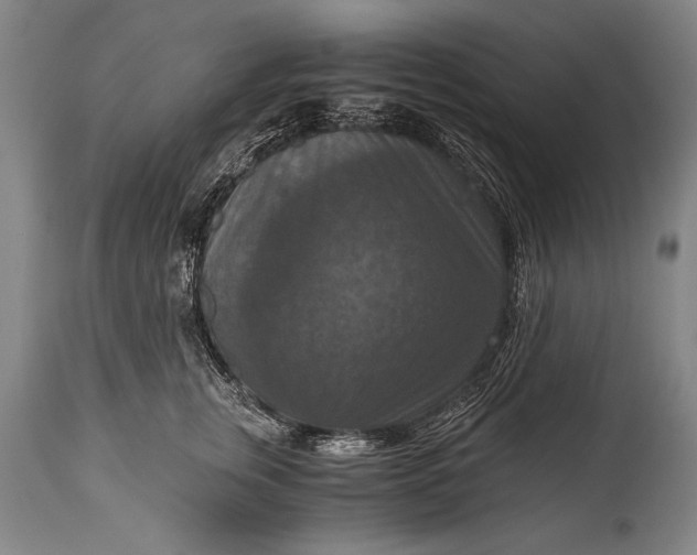X0000115410759200911171359