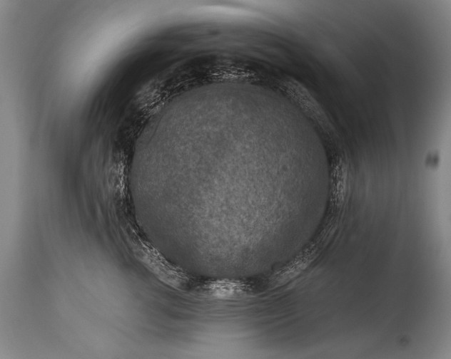 X0000115410762200911171359