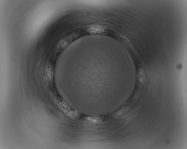 X0000115410763200911171359