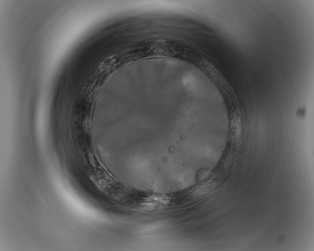 X0000115410765200911171359