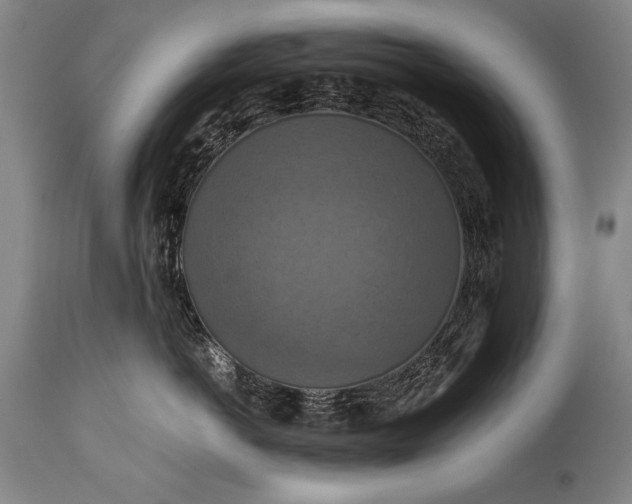 X0000115410766200911171359