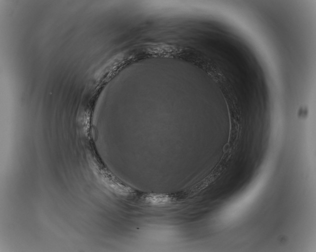 X0000115410767200911171359