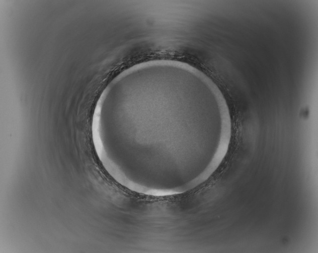 X0000115410769200911171359