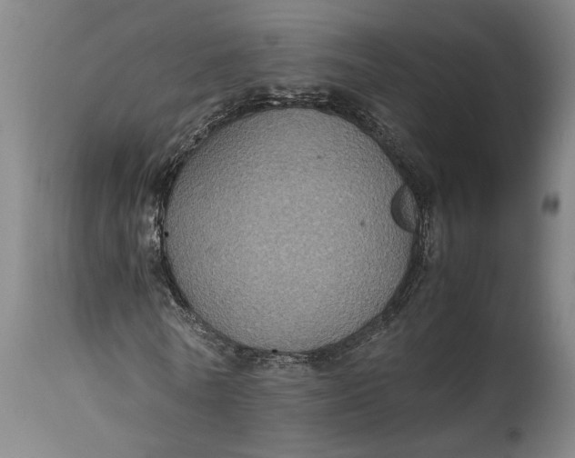 X0000115410770200911171359