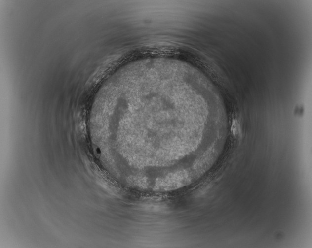 X0000115410771200911171358