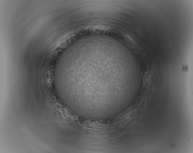 X0000115410774200911171358