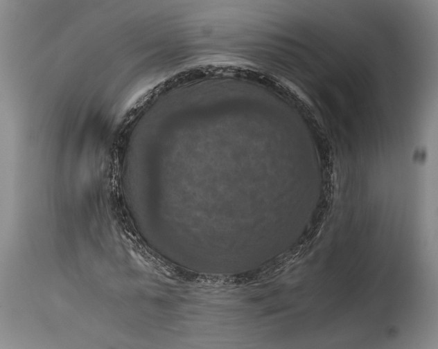 X0000115410775200911171358