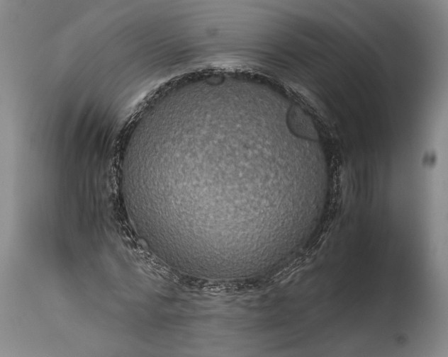 X0000115410776200911171358