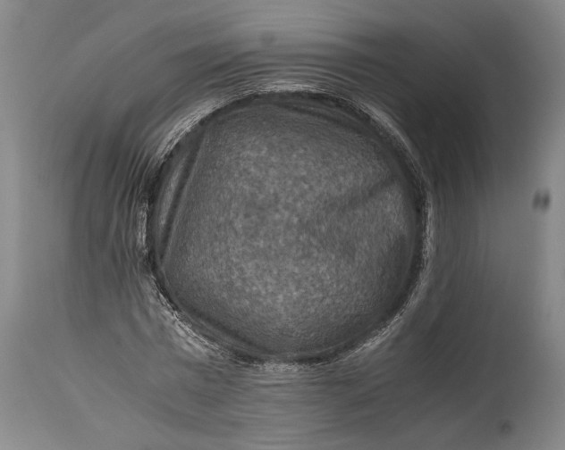 X0000115410777200911171358