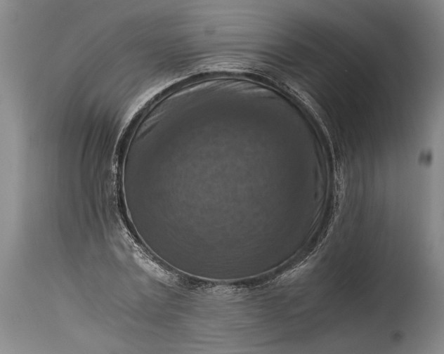 X0000115410779200911171358