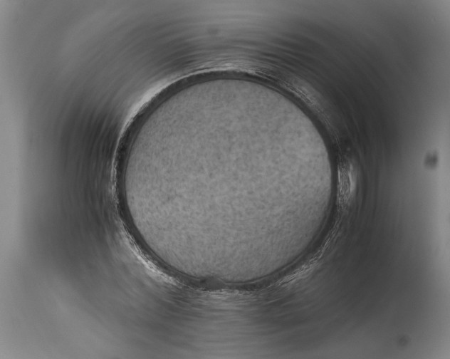 X0000115410780200911171358